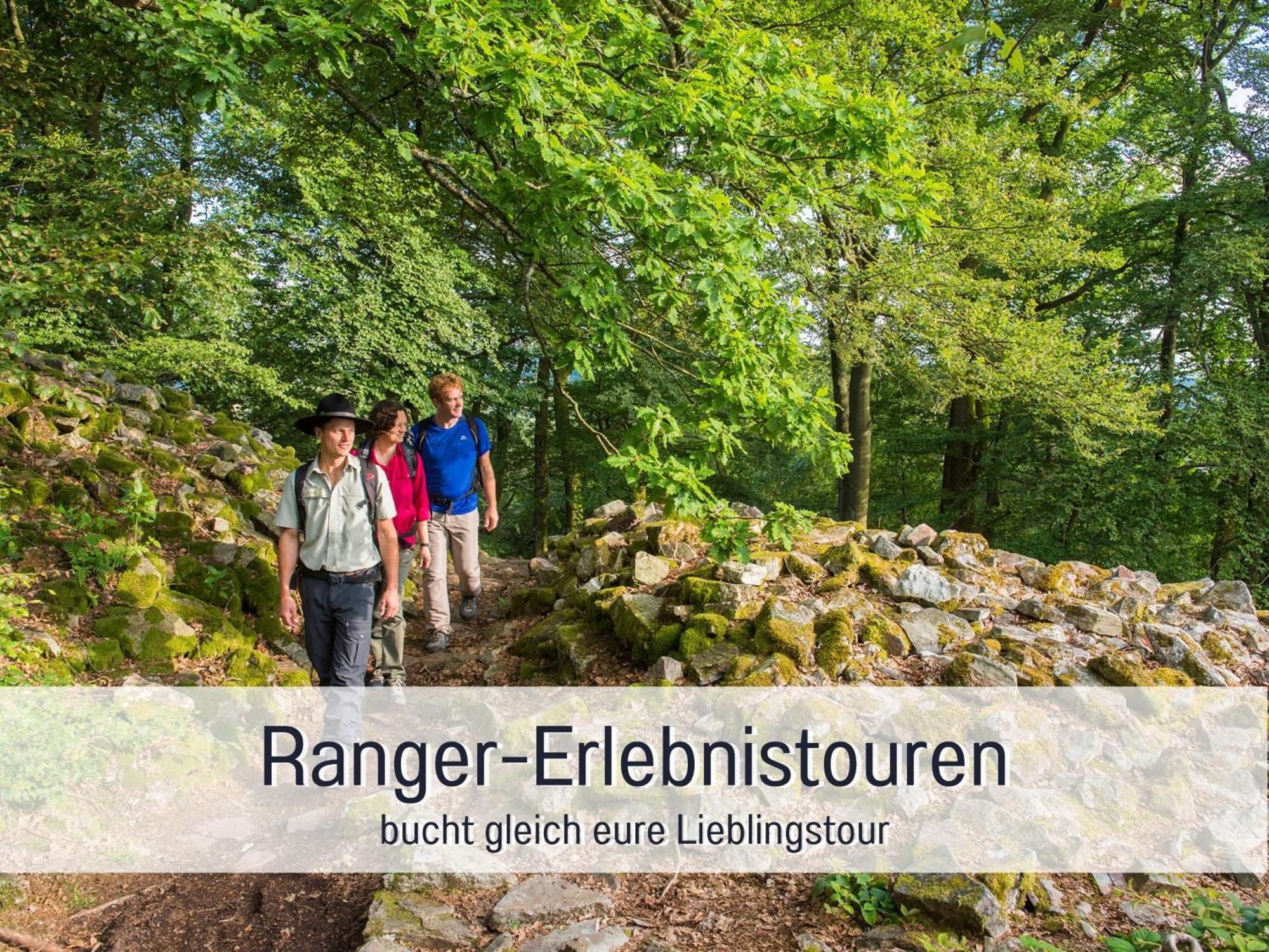 Natur-Chalet Zum Nationalpark Marie-Luise Inkl E-Auto 알렌바크 외부 사진